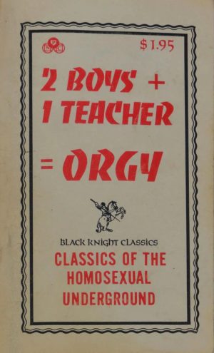 2 Boys 1 Teacher Orgy 101 Enterprises Vintage Gay Porn Book Cover