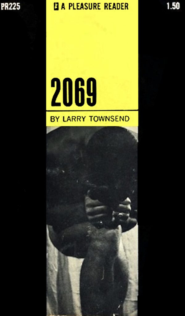 2069 Pleasure Reader Townsend Vintage Gay Porn Book Cover