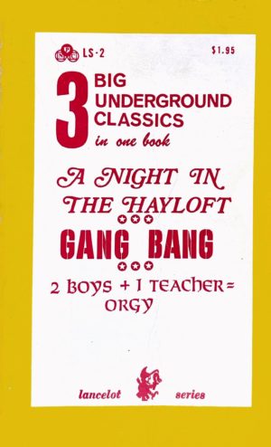 A Night in the Hayloft Gang Bang Vintage Gay Porn Book Cover