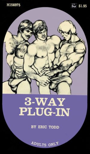 3 way Plug In HIS69-75 Vintage Gay Porn Book Cover