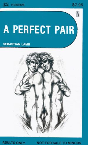 A Perfect Pair HIS69428 HIS69-428 Sebastian Lamb