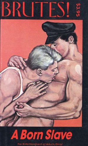 A Born Slave Bad Boys Vintage Gay Porn Book Cover