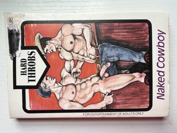 Naked Cowboy paperback - Image 2