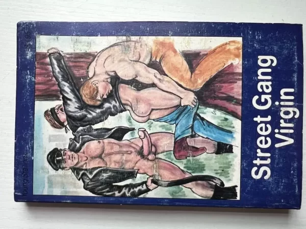 Street Gang Virgin paperback - Image 2