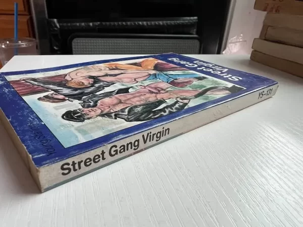 Street Gang Virgin paperback - Image 6