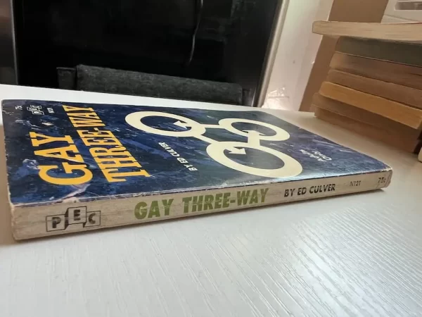 Gay Three-Way paperback - Image 6