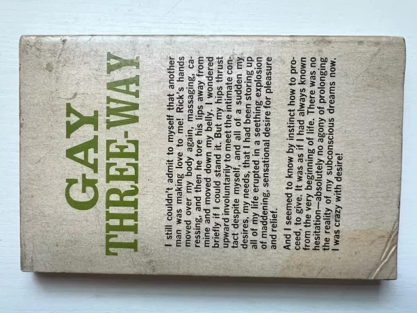 Gay Three-Way paperback - Image 3