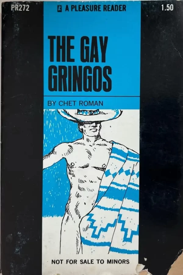 The Gay Gringos paperback