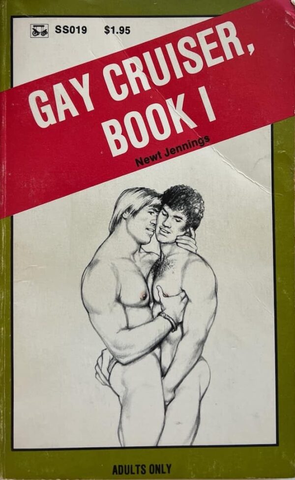 Gay Cruiser, Book I paperback