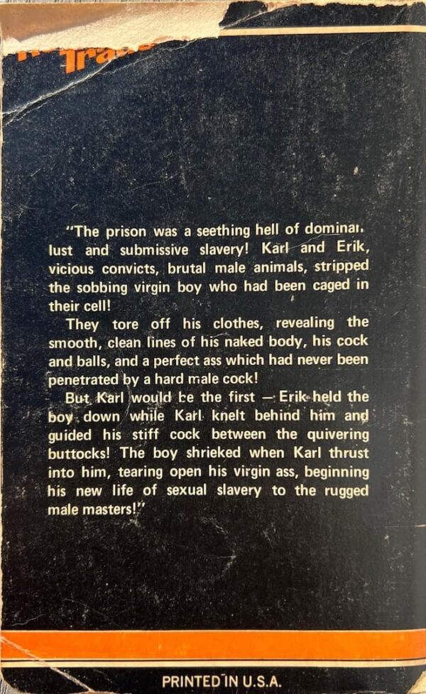 Biker's Boyslave paperback - Image 3