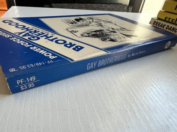 Gay Brotherhood paperback - Image 6