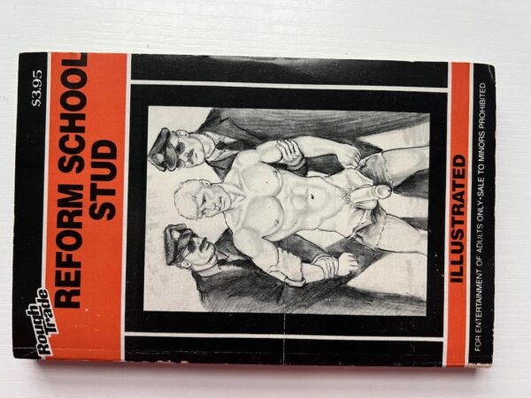 Reform School Stud paperback - Image 2