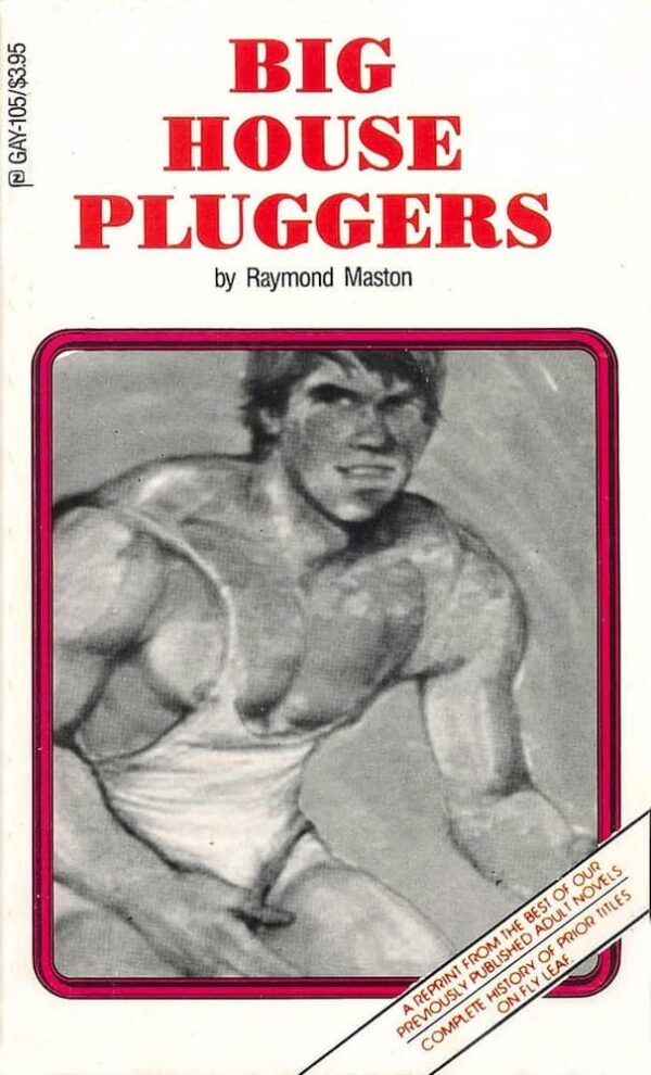 GAY-105 Big House Pluggers