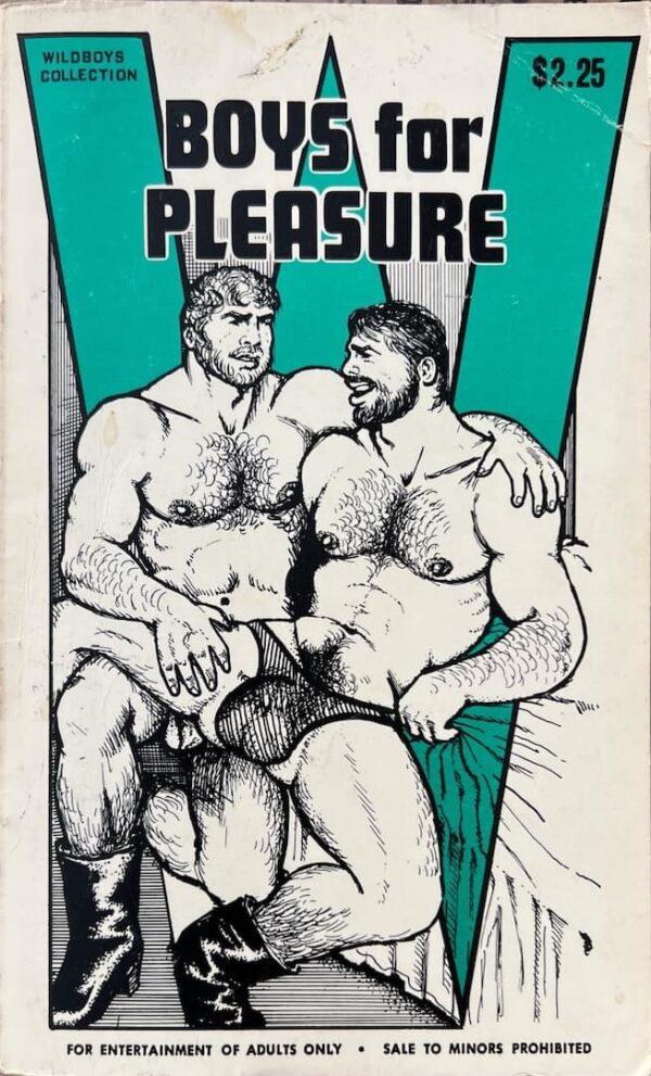 Boys for Pleasure paperback