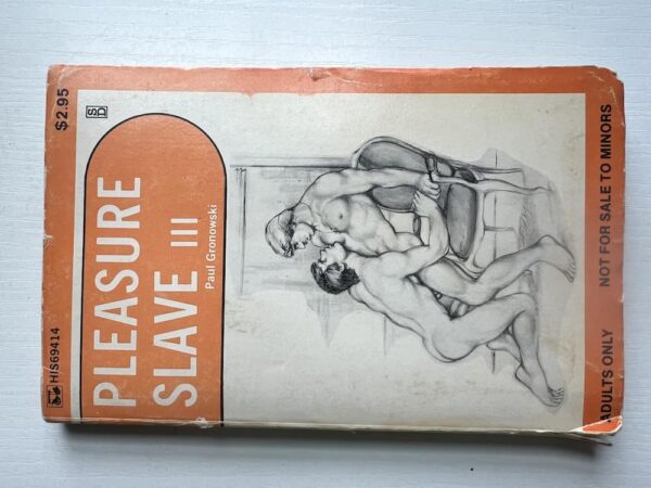 Pleasure Slave III paperback - Image 2