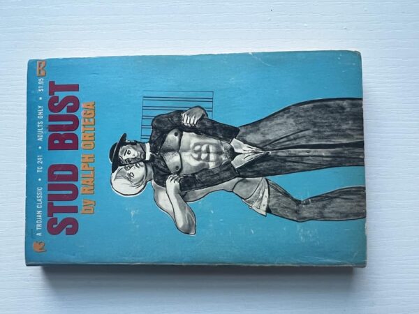 Stud Bust paperback - Image 8