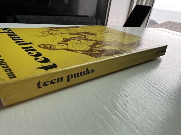 Teen Punks paperback - Image 6