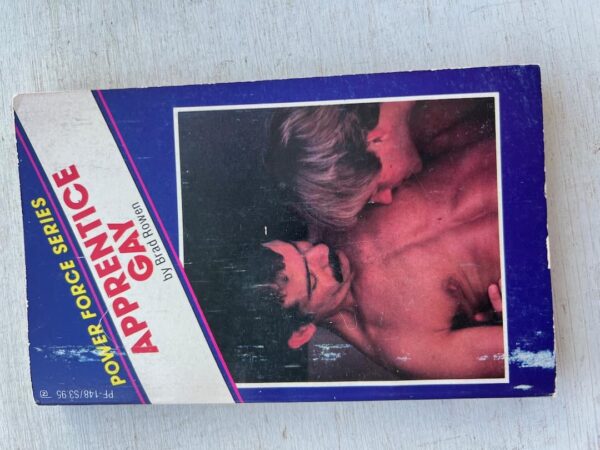 Apprentice Gay Paperback - Image 7