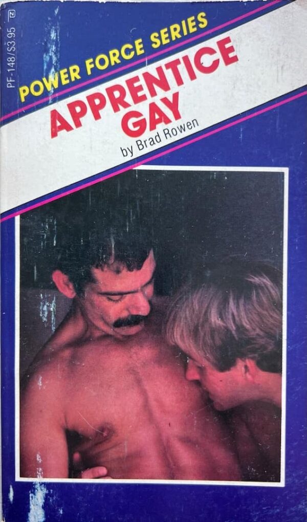 Apprentice Gay Paperback