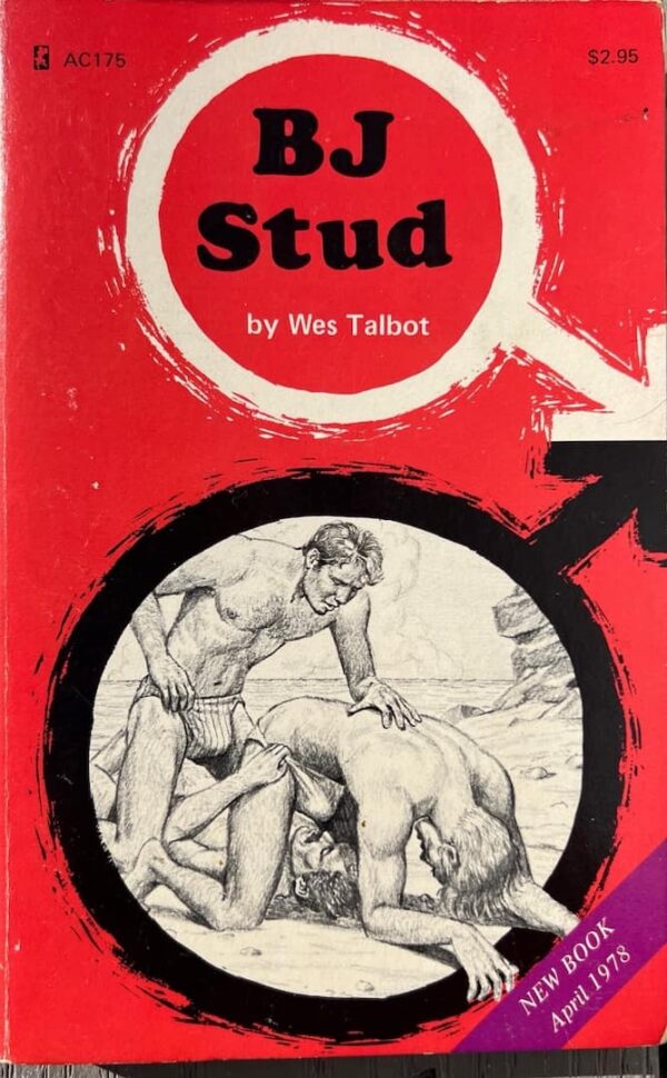 BJ Stud paperback