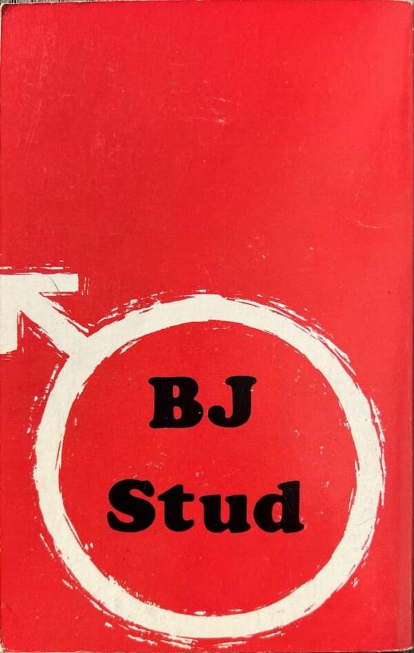 BJ Stud paperback - Image 2