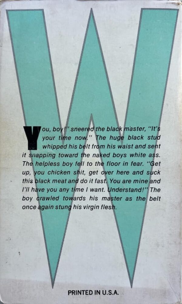 Black Man's Chicken paperback - Image 2