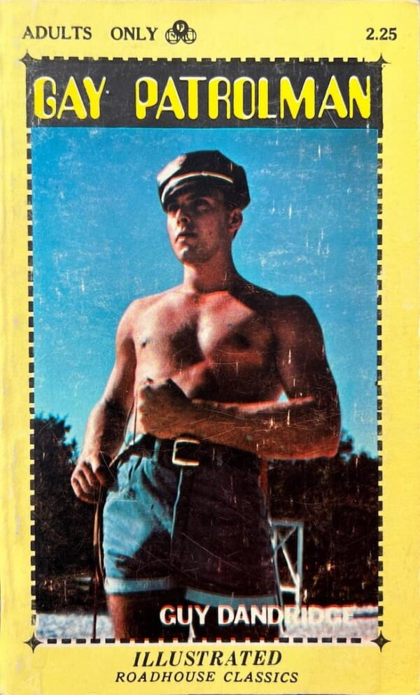 Gay Patrolman paperback