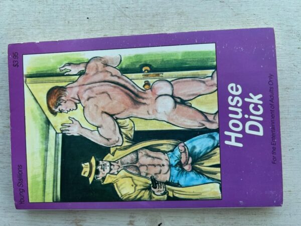 House Dick paperback - Image 2