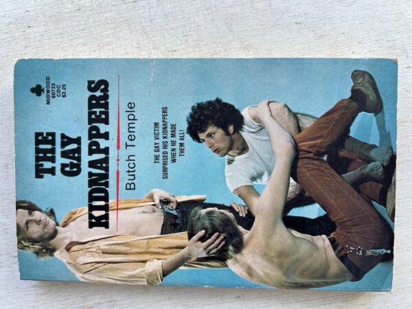 The Gay Kidnappers paperback - Image 2