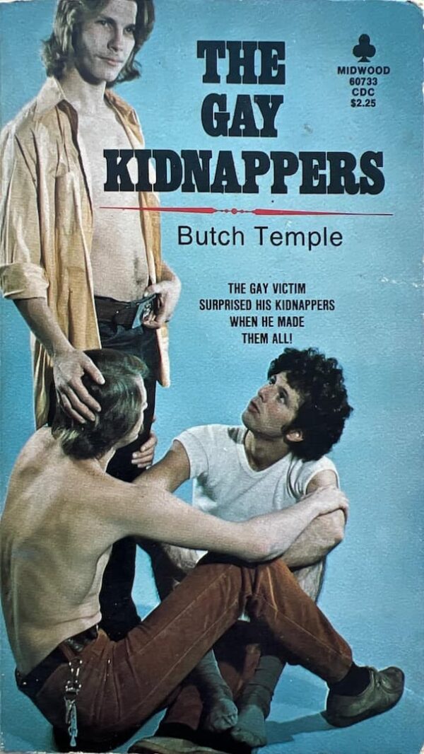 The Gay Kidnappers paperback