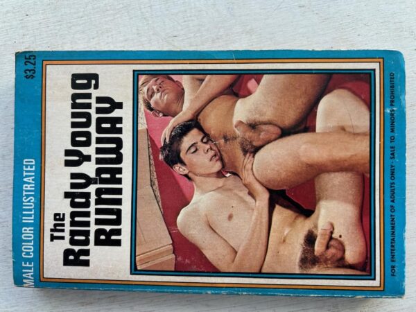 The Randy Young Runaway paperback - Image 2