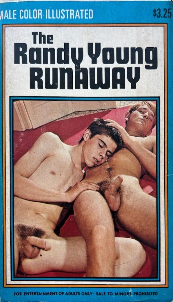 The Randy Young Runaway paperback