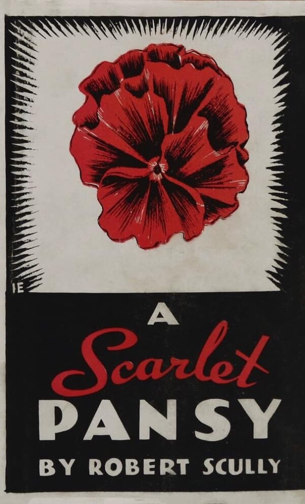 A Scarlet Pansy