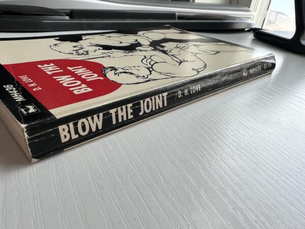 Blow the Joint paperback - Image 7