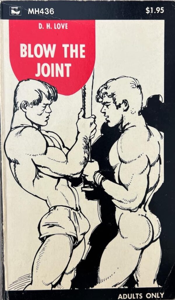 Blow the Joint paperback