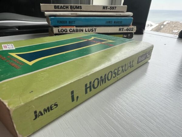 I Homosexual paperback - Image 7