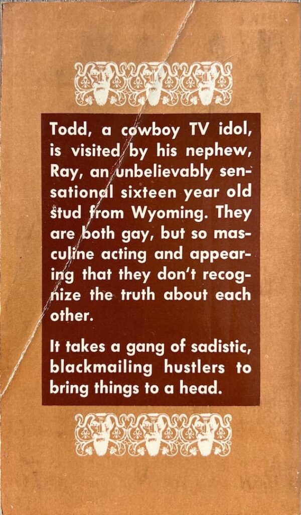 Wyoming Stallion paperback - Image 3